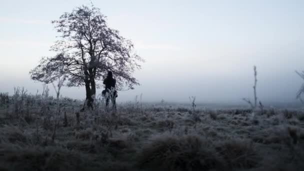 Людина в замерзлому покритому полі на світанку — стокове відео