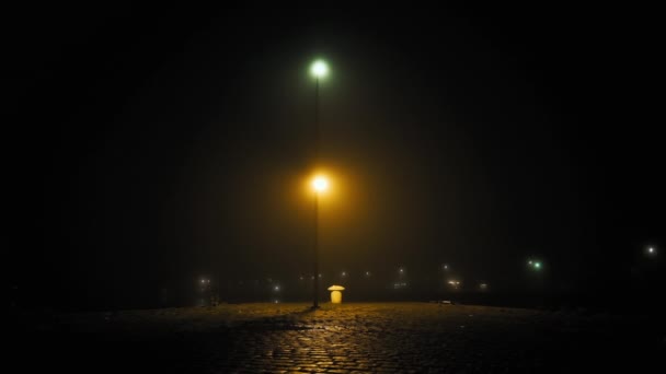 Lamp Post Lights On City Harbor op mistige nacht — Stockvideo