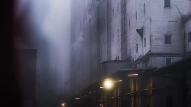 霧の上を飛ぶカモメ｜ハーバービル — ストック動画