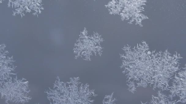 Мороз і кристали льоду на склі на синьому фоні — стокове відео
