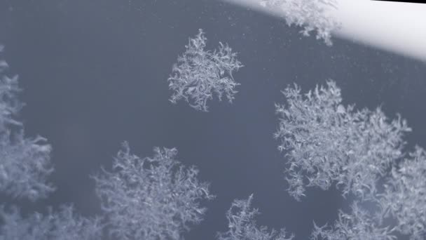 Χιόνι παγετός Flake σε γυαλί σε μπλε φόντο — Αρχείο Βίντεο