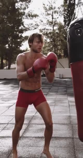 Muscoloso giovane uomo in guanti da boxe — Video Stock