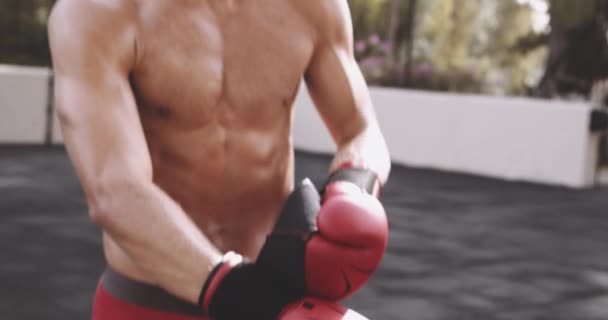 Man Fastening Strap Of Red Boxing Gloves — 图库视频影像