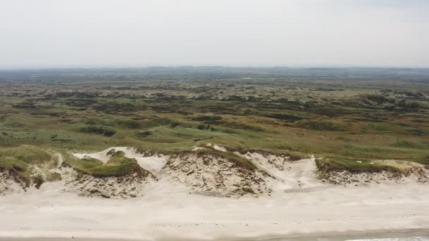 Drone sobre arena playa y verde paisaje — Vídeo de stock
