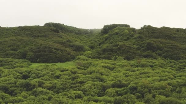 Drone sopra lussureggiante paesaggio verde — Video Stock