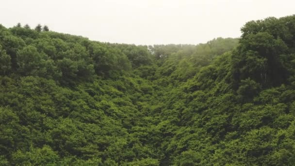 Drone over dicht groen bos naar veld — Stockvideo