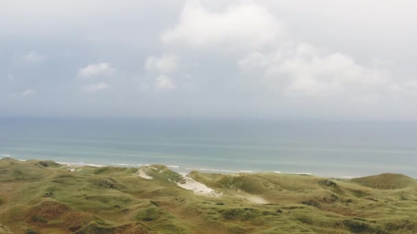 Dron nad trawą i plażą do błękitnego morza — Wideo stockowe