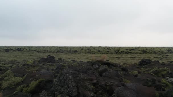 Drohne über Felsen und Gras Islands — Stockvideo