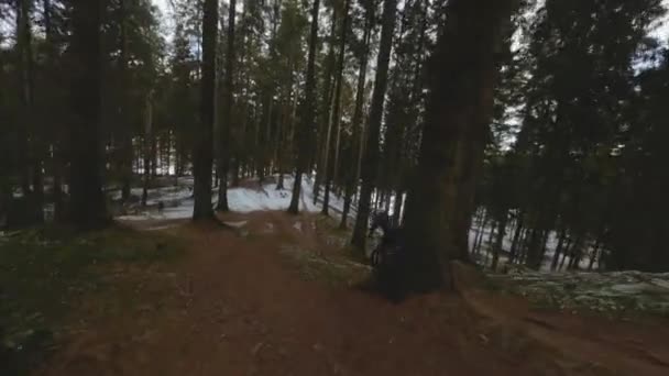 Drone On Cyclist In Snow Forest — Stock Video