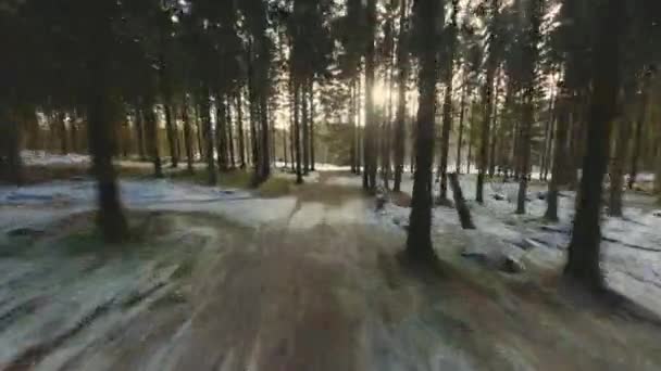 Vuelo rápido con drones volando a través del bosque de invierno — Vídeos de Stock