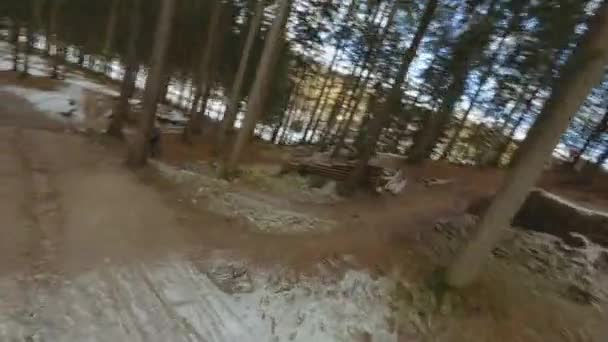 Vuelo de drones siguiendo al ciclista saltando por el camino del bosque — Vídeos de Stock
