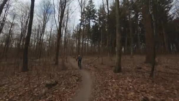 Drohne verfolgt Radfahrer bei Fahrt durch Wald — Stockvideo