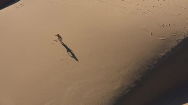Dron Blondynka Tańcząca na plaży — Wideo stockowe