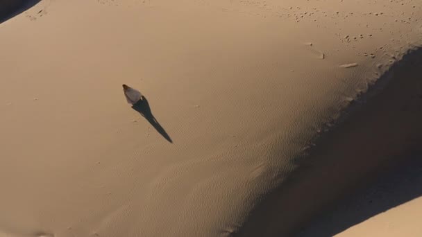 Drone van vrouw in jurk op het strand — Stockvideo