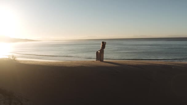 Mujer bailando en vestido largo en playa de arena — Vídeos de Stock