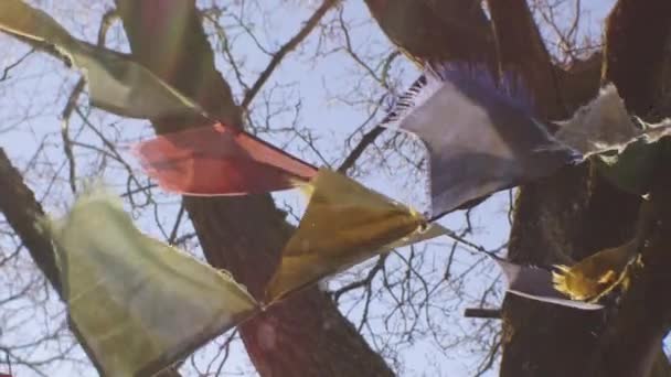 Цветные молитвенные флаги, дующие на ветру с осеннего дерева — стоковое видео
