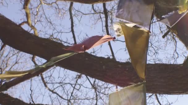 Барвисті молитовні прапори дме вітром з осіннього дерева — стокове відео