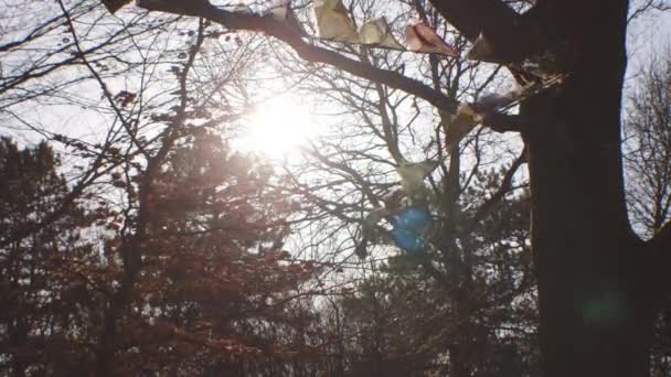Σημαίες προσευχής φυσούν στον άνεμο από τα φθινοπωρινά δέντρα — Αρχείο Βίντεο
