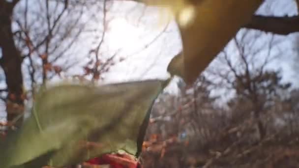 Banderas de oración soplando en el viento en el soleado día de otoño — Vídeos de Stock