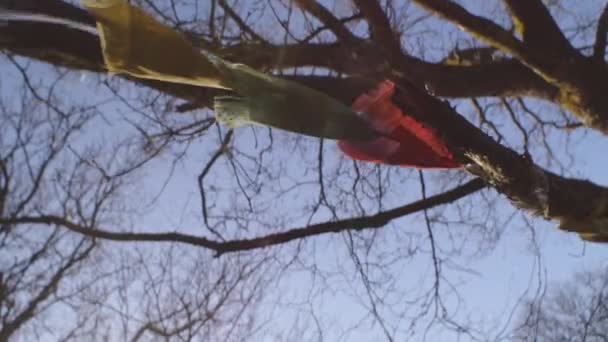 Prayer Flags Blowing In Wind On Sunny Autumn Day — Stock Video