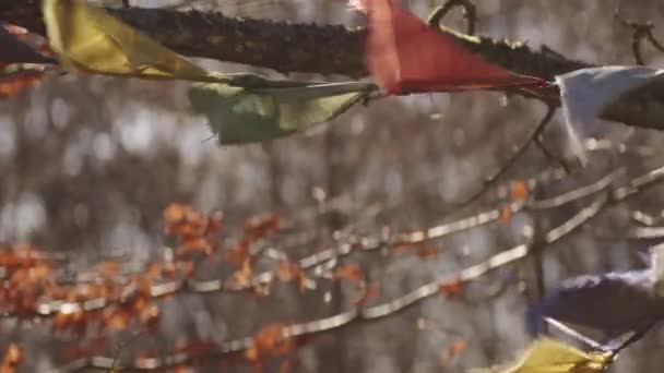 Bandeiras de oração multicoloridas soprando no vento no outono — Vídeo de Stock