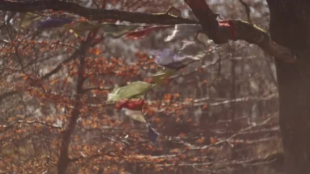 Ηλιακό φως στις σημαίες προσευχής που φυσούν στον άνεμο το φθινόπωρο — Αρχείο Βίντεο