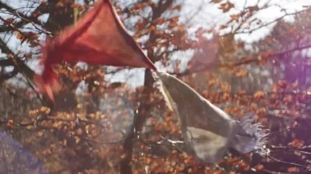 Молитовні прапори Вітер сонячний день восени — стокове відео