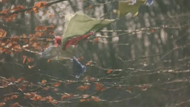 Bandiere di preghiera che soffiano nel vento il giorno d'autunno — Video Stock