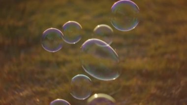 Gün batımında Günışığı Alanında Yüzen Baloncuklar