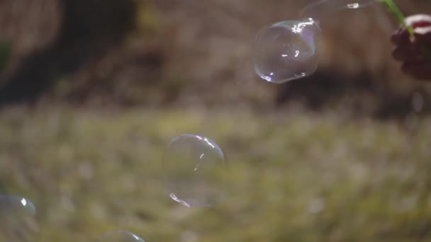 Burbujas sopladas en el aire por niño — Vídeos de Stock