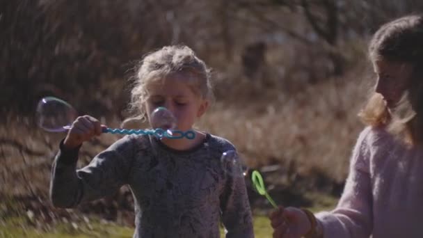 Frère et sœurs soufflant des bulles de baguette à bulles — Video