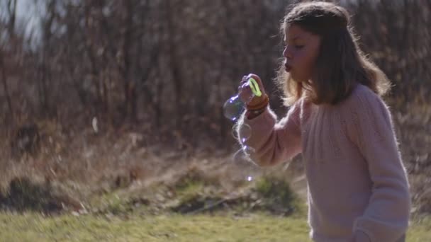 Ragazza soffiando bolle da bolla bacchetta nel campo illuminato dal sole — Video Stock