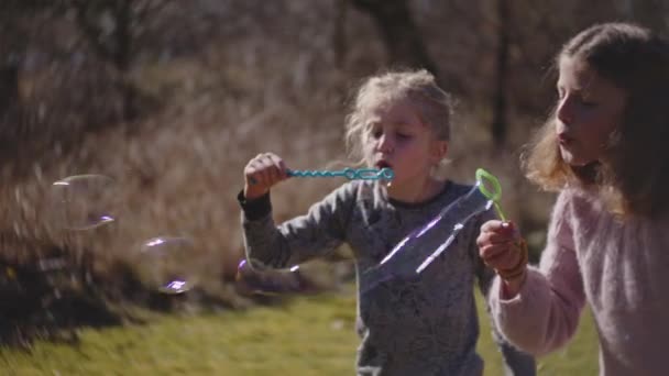 Hermano y hermanas soplando burbujas de burbuja varita — Vídeo de stock