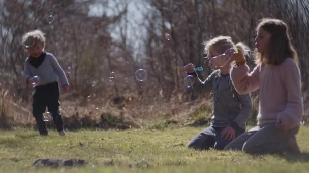 Syster och bror blåser bubblor med småbarn försöker fånga dem — Stockvideo