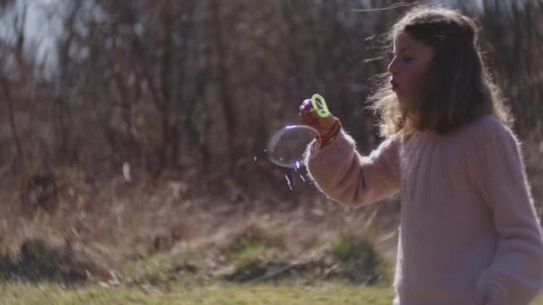 Girl Blowing Bubbles In Sunlit Field — Stock Video