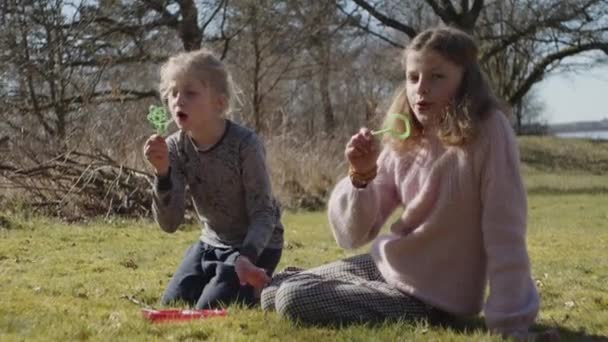 Fratello e sorella in ginocchio nel campo illuminato dal sole e soffiando bolle — Video Stock