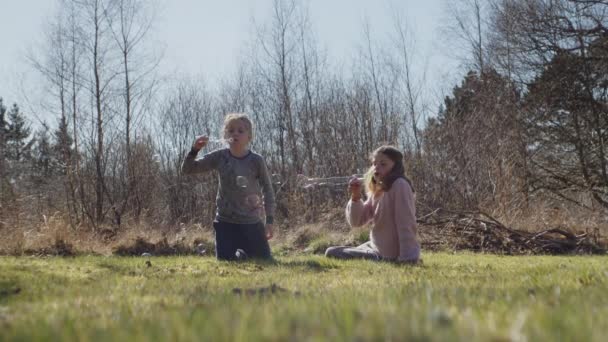 Hermano y hermana arrodillándose en el campo iluminado por el sol y soplando burbujas — Vídeo de stock