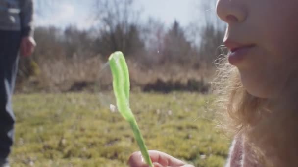 Mädchen bläst Blasen im Feld mit Brüdern — Stockvideo
