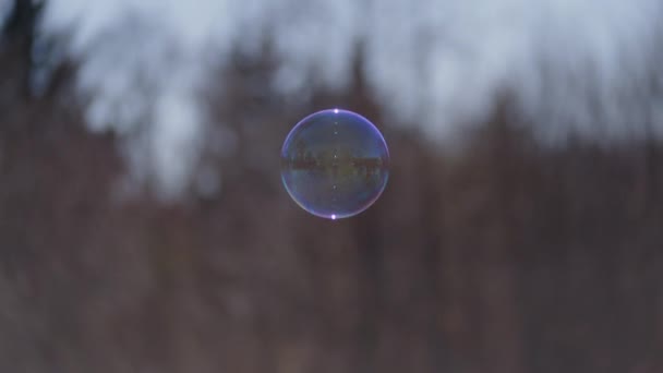 Bubble drijvend op lucht in het veld — Stockvideo