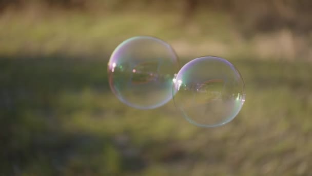 Burbujas flotando en campo iluminado por el sol — Vídeo de stock