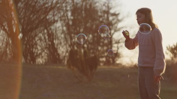 Giovane ragazza soffiando bolle in tramonto campo — Video Stock