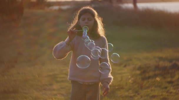 Junges Mädchen bläst Blasen im Feld bei Sonnenuntergang — Stockvideo