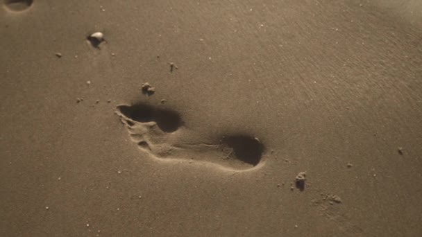 Fotspår i Wet Sand On Beach — Stockvideo