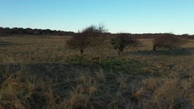 Rubjerg Knude Deniz fenerinden İHA Uçuşu