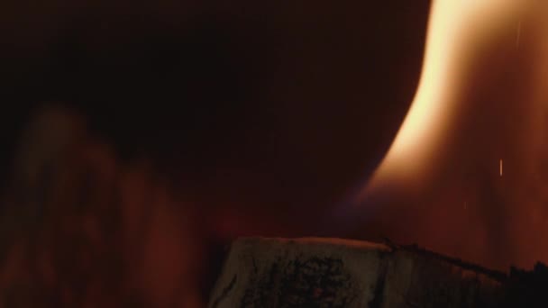 在柴火中燃烧的火焰 — 图库视频影像
