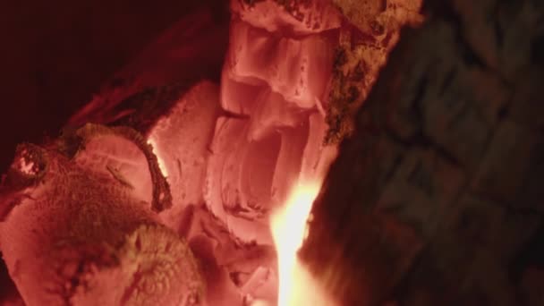 Los registros de llama ardiente y los embriones en la chimenea — Vídeos de Stock