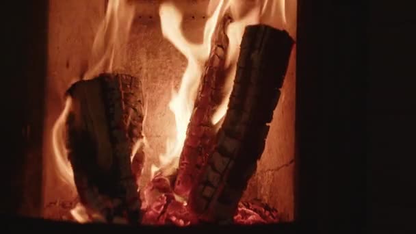 Vlammen Brandende Logs In Open haard — Stockvideo