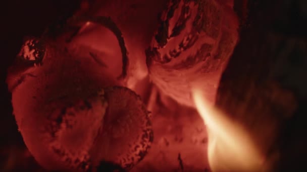 Embers de madera ardiendo en la chimenea — Vídeos de Stock