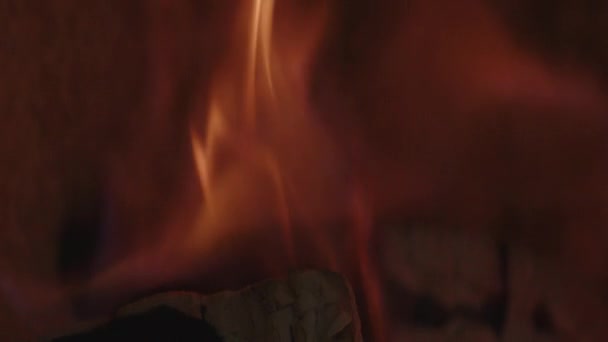 Vlammen branden op hout in open haard — Stockvideo