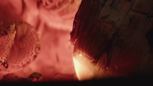 Chamas e Embers ardendo no fogo — Vídeo de Stock